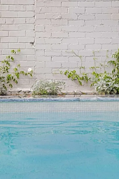 Pool Construction – Balmain