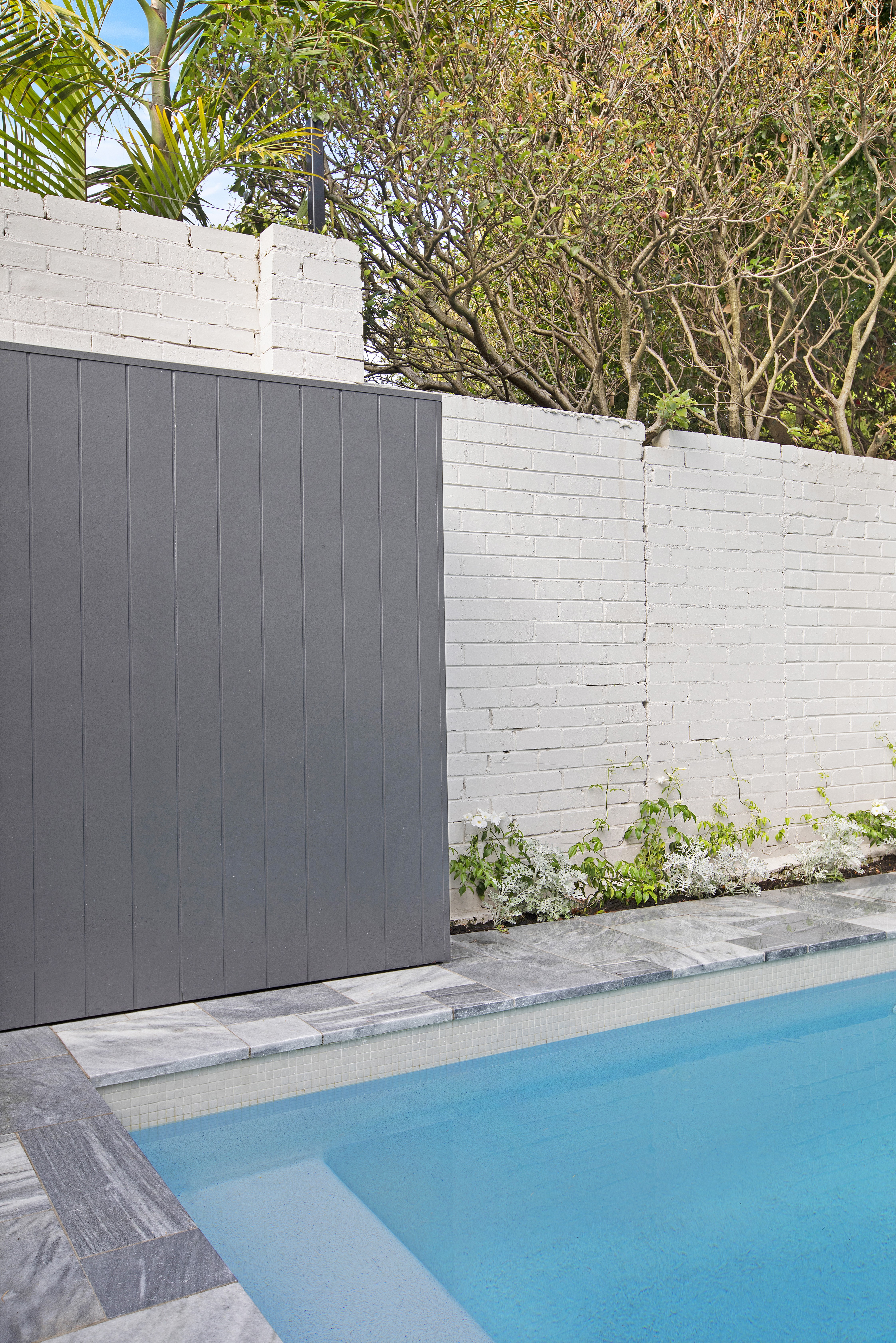 Grey gate and white brick wall at the pool corner, Balmain