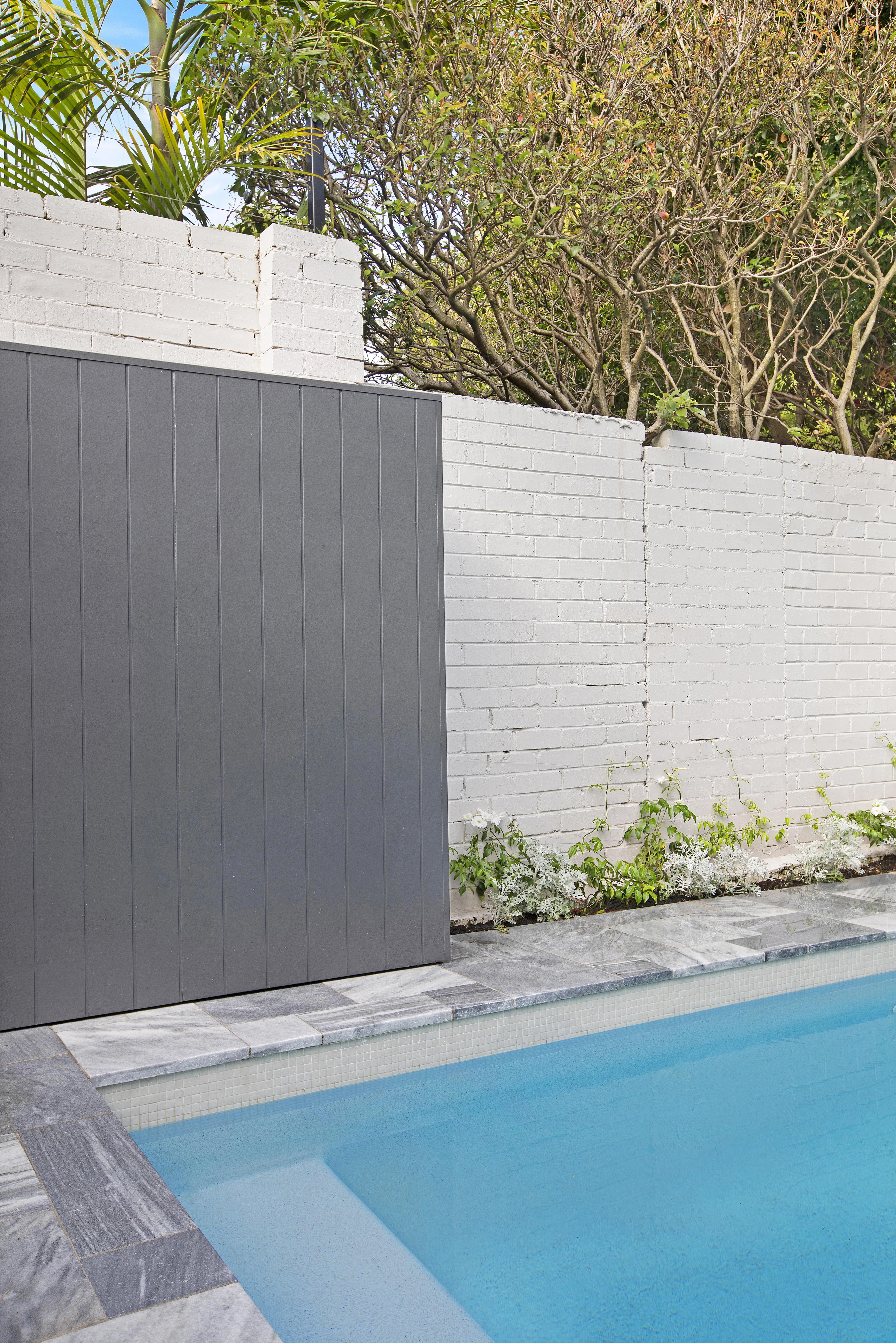 Grey gate and white brick wall at the pool corner, Balmain