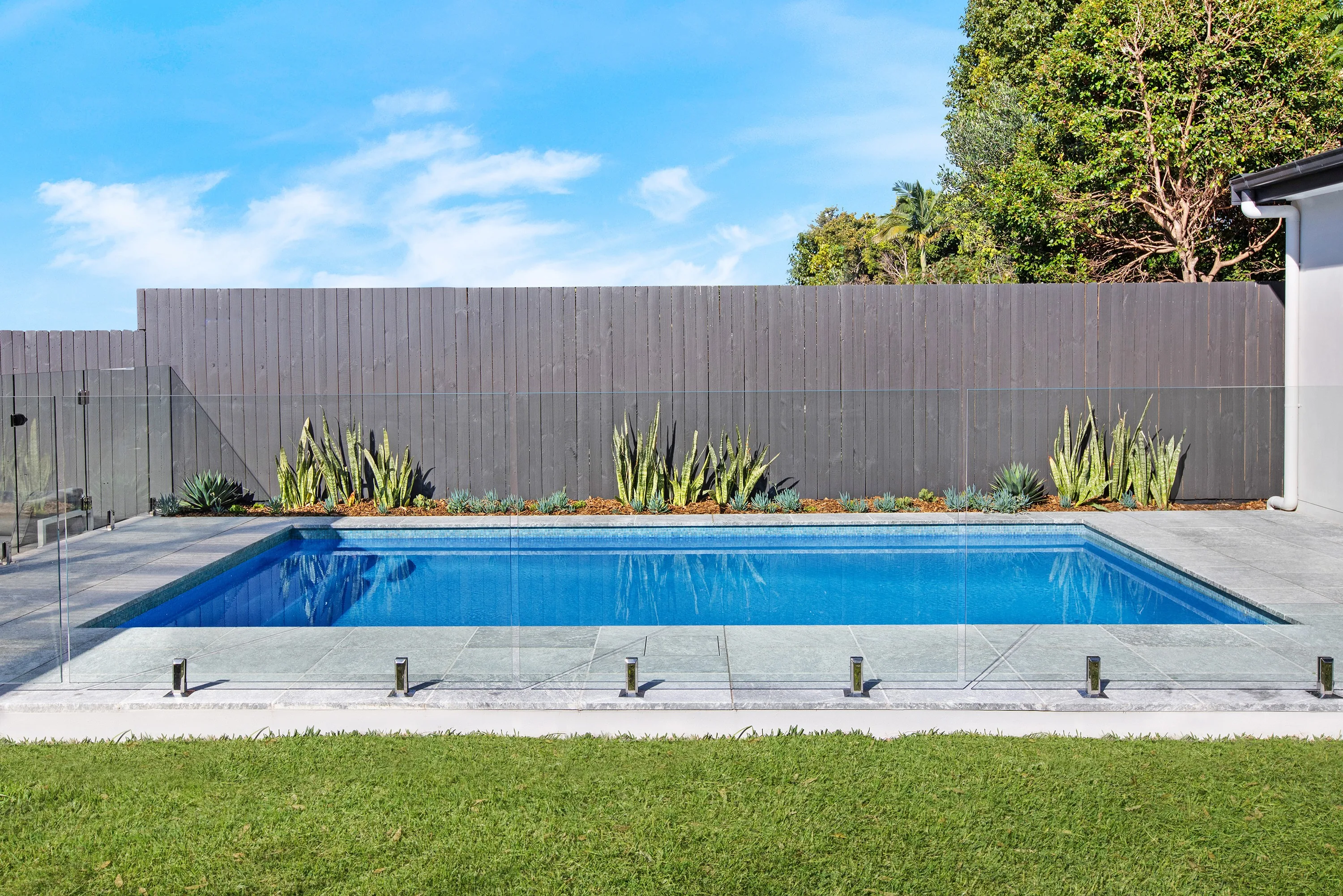 Straight-on view of the concrete pool, glass fencing and lawn, Willoughby